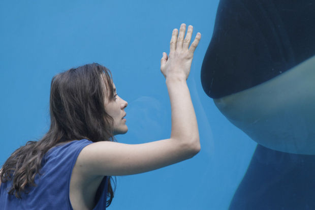 A different kind of hope in 'Rust and Bone'
